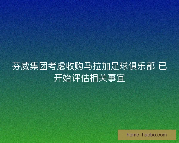 芬威集团考虑收购马拉加足球俱乐部 已开始评估相关事宜